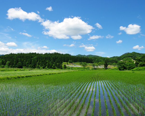 田舎物件の紹介から契約まで丁寧にサポート
